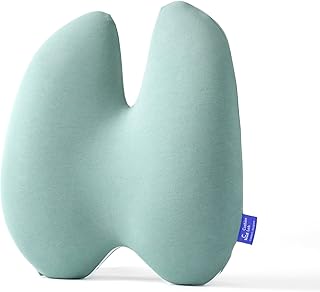 Cushion Lab Extra Dense Lumbar Support Pillow