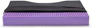 Purple Ultimate Double Seat Cushion