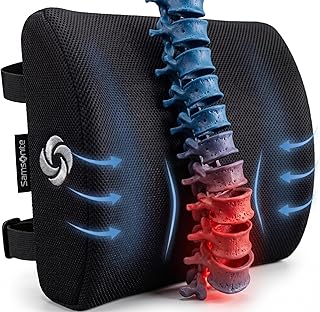 Samsonite Ergonomic Lumbar Back Cushion